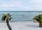 Palmestranden Mette Johnsen (1) 800Px